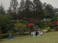 -铁山坪森林公园