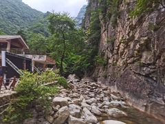 -青峰峡国家森林公园