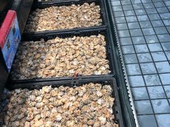 -海鲜e族(马王堆店)