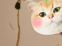 -上海虹桥宾馆味翠餐厅