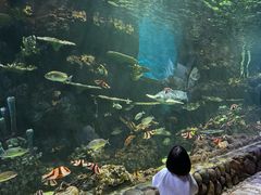 -华夏文旅西安度假区