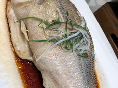 -大鸭梨烤鸭(枣园店)