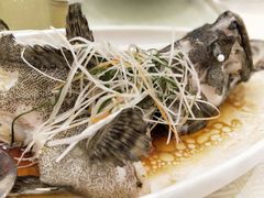-云庭汇·粤菜海鲜(东盟盛天地店)