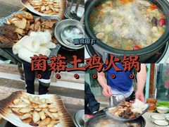 -蘑统田下·野生菌火锅