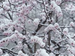 -朝阳公园