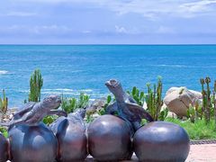 -广东惠东海龟国家级自然保护区