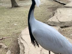 -哈尔滨北方森林动物园