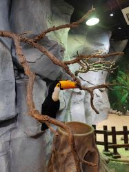 -Zoolung Zoolung动物主题公园(海信广场店)