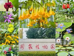 -国家植物园南园