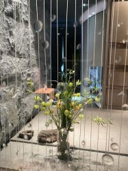点击看大图 -美壹生皮肤管理中心