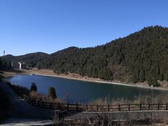 -武陵山森林公园