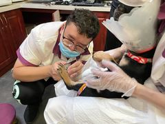 -宠爱国际动物医院· 猫科· 外科·中兽医(长白店)