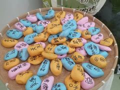 -马荣长江紫都幼儿园