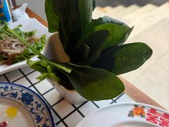 -山悦里 山野·鲜火锅(罗斯福广场店)