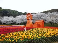 -苏州上方山国家森林公园