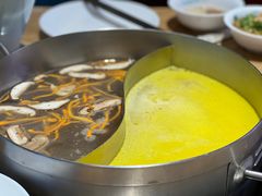-青瓷火锅料理(西单大悦城店)