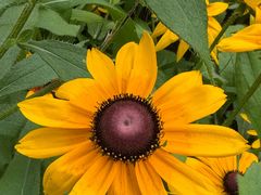 -太阳宫公园