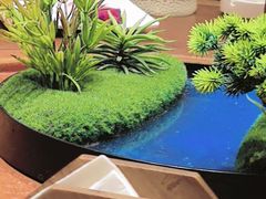 -陶缘一号·四季缘·老字号顺德菜·户外婚礼家宴(西滘店)