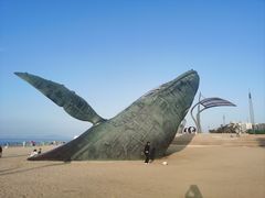 -烟台金沙滩海滨公园