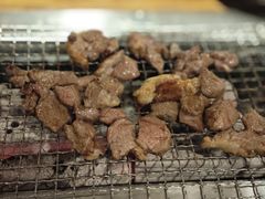 -柿子树炭烤羊腿(金台路店)