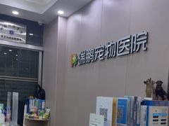 -瑞鹏宠物医院华南总院·夜诊·心脏科·骨科