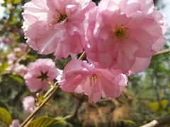 -长白岛森林公园
