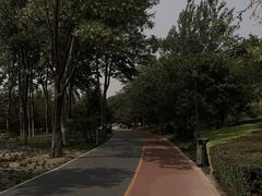 -大兴滨河森林公园