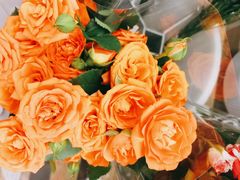 -鹿岛会员店 (龙湖三千集天街店)