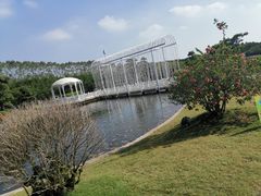 -迪茵湖田家舍生态农场
