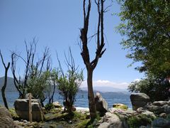 -才村湿地公园