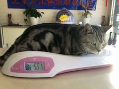 -宠颐生中康贝怡动物医院