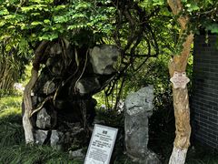 -梅园