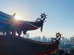 -金鸡山公园