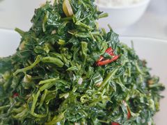 清香枸杞苗-国强手抓(西夏区店)