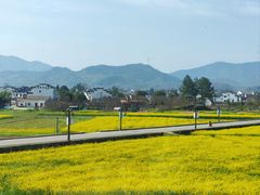 -黄牛肉馆·皖南土菜