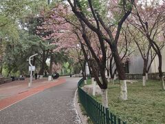 -西安市长乐公园