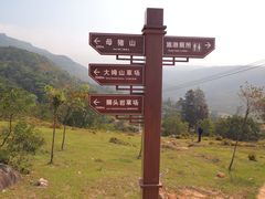 -大姆山草场