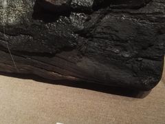 -元代水闸遗址博物馆
