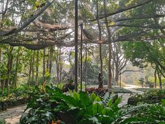 -东莞植物园