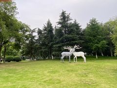 -后襄河公园