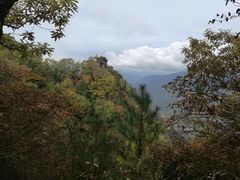 -塔云山