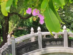 -人民公园(罗湖区)