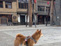 -唐山尚禾源旅游景区