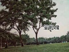-泰丰公园