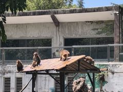 -成都动物园