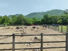 -西安秦岭野生动物园