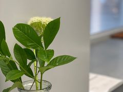 -Manner Coffee(IFS一楼店)