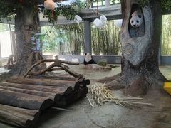 -海南热带野生动植物园