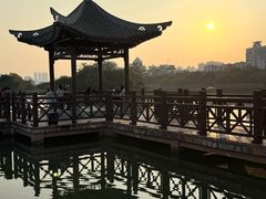 -南宁南湖公园