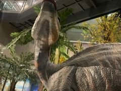 -湖南省地质博物馆